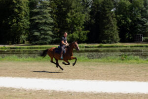 Arnaud au galop avec son cheval Fire